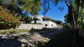 Villa Giulia - Immersa Nella Natura Vicino Al Mare